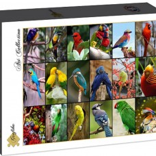 Grafika - Legpuzzel - Collage De Mooiste Vogels van de Wereld - 1500 stukjes - Legpuzzels stukjes - Puzzelwereld.eu